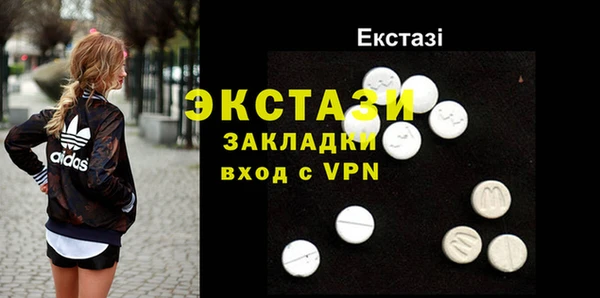 твердый Снежногорск