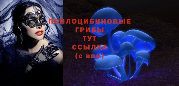 хмурый Алексеевка