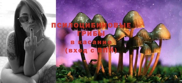 хмурый Алексеевка